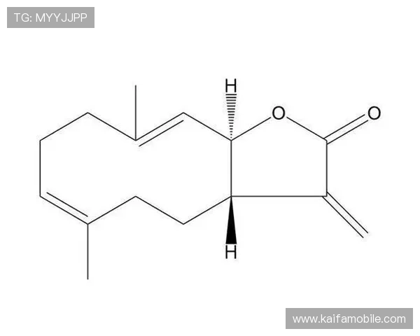 如何确保通过k8凯发中国官网入口安全登录，保护个人信息